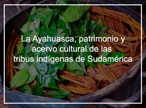 La Ayahuasca, patrimonio y acervo cultural de las tribus indígenas de Sudamérica