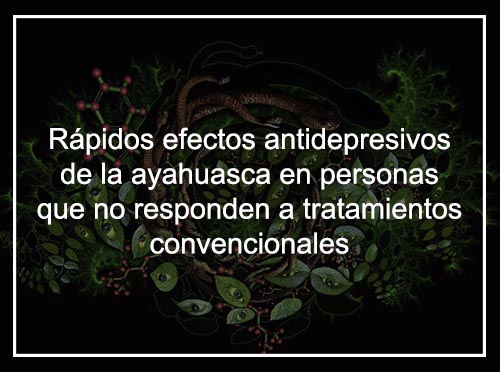 Estudio: Rápidos efectos antidepresivos de la ayahuasca en personas que no responden a los tratamientos convencionales para la depresión.