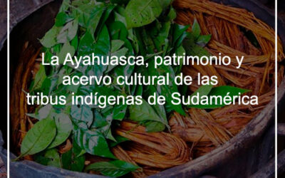 La Ayahuasca, patrimonio y acervo cultural de las tribus indígenas de Sudamérica