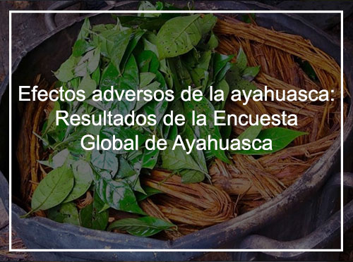 Efectos adversos de la ayahuasca: Resultados de la Encuesta Global de Ayahuasca