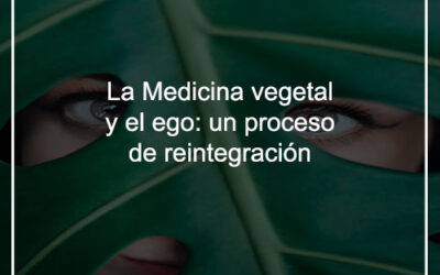 La medicina vegetal y el ego: un proceso de reintegración